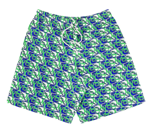 Swim Shorts (Blue/White/Green)